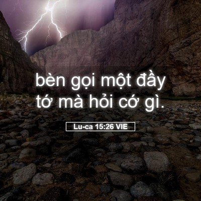 Picture 05 - Lu-ca 15:26 VIE - bèn gọi một đầy tớ mà hỏi cớ - Bible Verse Picture