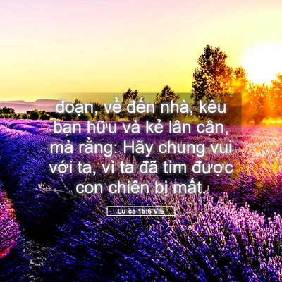 Picture 05 - Lu-ca 15:6 VIE - đoạn, về đến nhà, kêu bạn hữu và - Bible Verse Picture