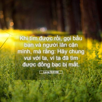 Picture 05 - Lu-ca 15:9 VIE - Khi tìm được rồi, gọi bầu bạn và - Bible Verse Picture