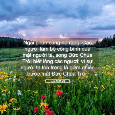 Picture 05 - Lu-ca 16:15 VIE - Ngài phán cùng họ rằng: Các ngươi làm - Bible Verse Picture