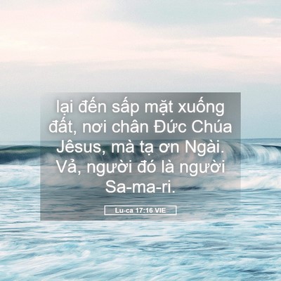 Picture 05 - Lu-ca 17:16 VIE - lại đến sấp mặt xuống đất, nơi - Bible Verse Picture