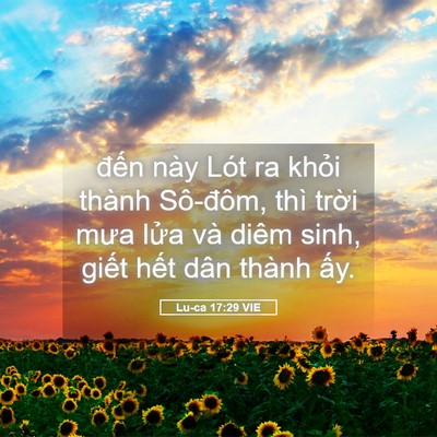 Picture 05 - Lu-ca 17:29 VIE - đến này Lót ra khỏi thành Sô-đôm, thì - Bible Verse Picture