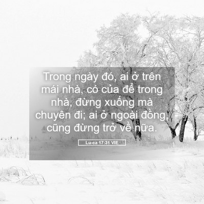 Picture 05 - Lu-ca 17:31 VIE - Trong ngày đó, ai ở trên mái nhà, có - Bible Verse Picture