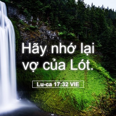 Picture 05 - Lu-ca 17:32 VIE - Hãy nhớ lại vợ của - Bible Verse Picture
