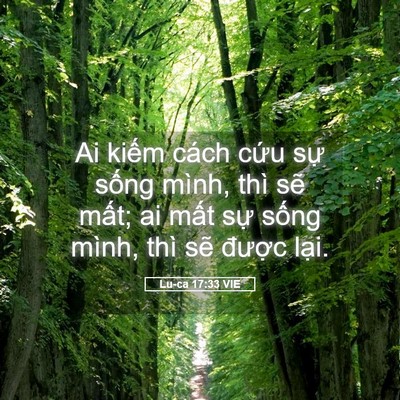 Picture 05 - Lu-ca 17:33 VIE - Ai kiếm cách cứu sự sống mình, thì - Bible Verse Picture