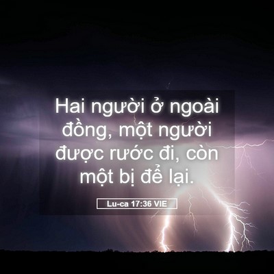 Picture 05 - Lu-ca 17:36 VIE - Hai người ở ngoài đồng, một người - Bible Verse Picture