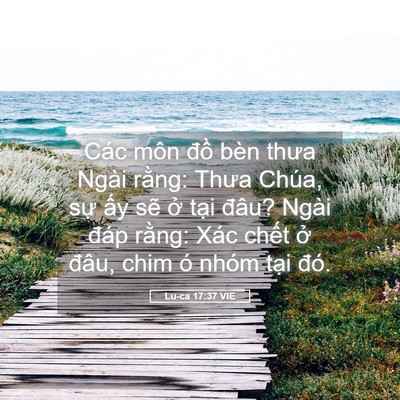 Picture 05 - Lu-ca 17:37 VIE - Các môn đồ bèn thưa Ngài rằng: Thưa - Bible Verse Picture