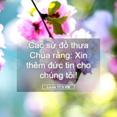 Picture 05 - Lu-ca 17:5 VIE - Các sứ đồ thưa Chúa rằng: Xin thêm - Bible Verse Picture