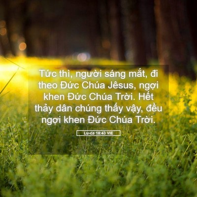 Picture 05 - Lu-ca 18:43 VIE - Tức thì, người sáng mắt, đi theo Đức - Bible Verse Picture
