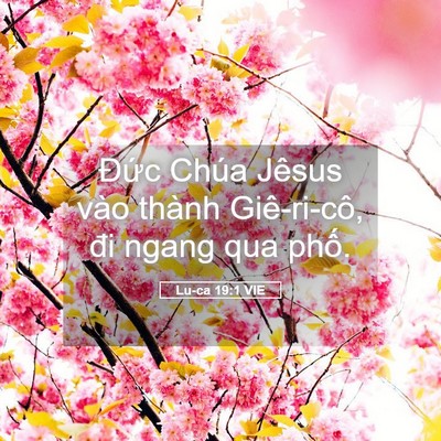 Picture 05 - Lu-ca 19:1 VIE - Đức Chúa Jêsus vào thành Giê-ri-cô, đi - Bible Verse Picture