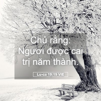 Picture 05 - Lu-ca 19:19 VIE - Chủ rằng: Ngươi được cai trị năm - Bible Verse Picture