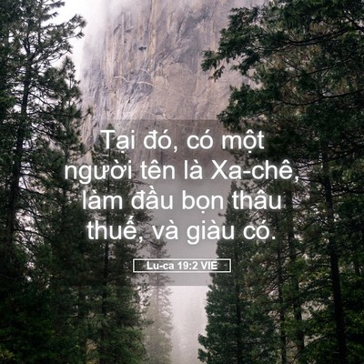 Picture 05 - Lu-ca 19:2 VIE - Tại đó, có một người tên là Xa-chê, - Bible Verse Picture