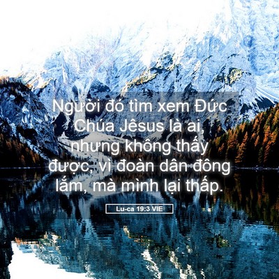 Picture 05 - Lu-ca 19:3 VIE - Người đó tìm xem Đức Chúa Jêsus là - Bible Verse Picture