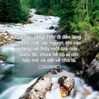 Picture 05 - Lu-ca 19:30 VIE - và dặn rằng: Hãy đi đến làng trước - Bible Verse Picture