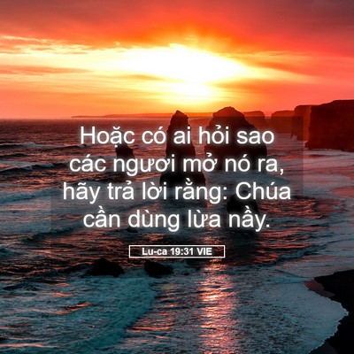 Picture 05 - Lu-ca 19:31 VIE - Hoặc có ai hỏi sao các ngươi mở nó ra, - Bible Verse Picture