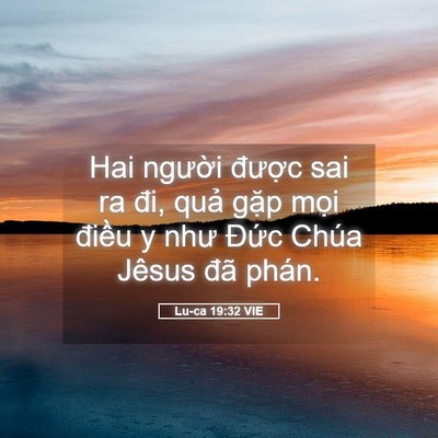 Picture 05 - Lu-ca 19:32 VIE - Hai người được sai ra đi, quả gặp - Bible Verse Picture