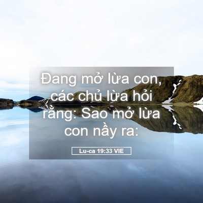 Picture 05 - Lu-ca 19:33 VIE - Đang mở lừa con, các chủ lừa hỏi - Bible Verse Picture