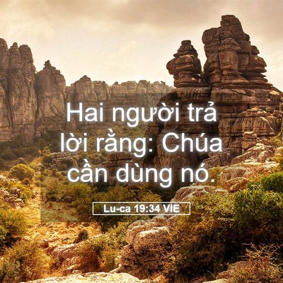 Picture 05 - Lu-ca 19:34 VIE - Hai người trả lời rằng: Chúa cần - Bible Verse Picture