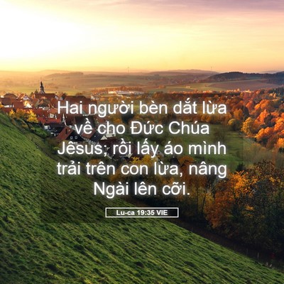 Picture 05 - Lu-ca 19:35 VIE - Hai người bèn dắt lừa về cho Đức - Bible Verse Picture