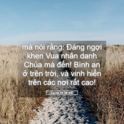 Picture 05 - Lu-ca 19:38 VIE - mà nói rằng: Đáng ngợi khen Vua nhân - Bible Verse Picture