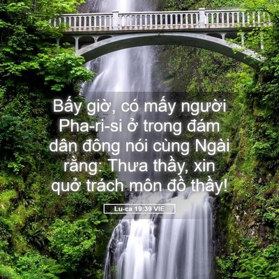 Picture 05 - Lu-ca 19:39 VIE - Bấy giờ, có mấy người Pha-ri-si ở - Bible Verse Picture
