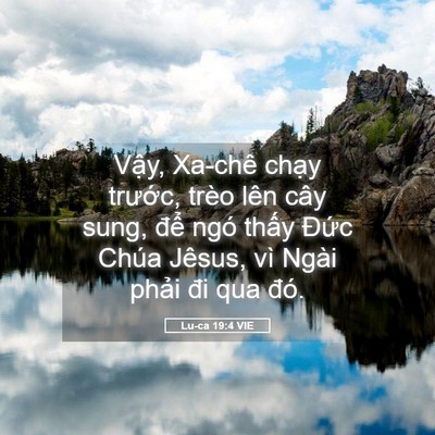 Picture 05 - Lu-ca 19:4 VIE - Vậy, Xa-chê chạy trước, trèo lên cây - Bible Verse Picture