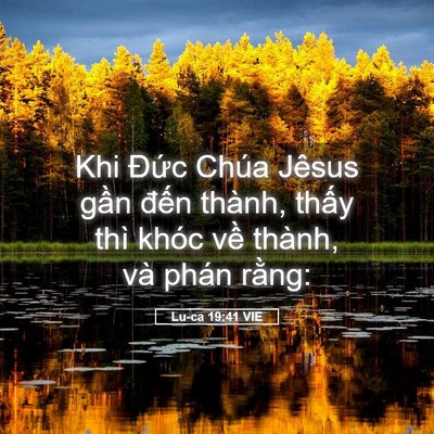 Picture 05 - Lu-ca 19:41 VIE - Khi Đức Chúa Jêsus gần đến thành, - Bible Verse Picture