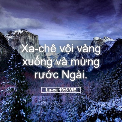 Picture 05 - Lu-ca 19:6 VIE - Xa-chê vội vàng xuống và mừng rước - Bible Verse Picture