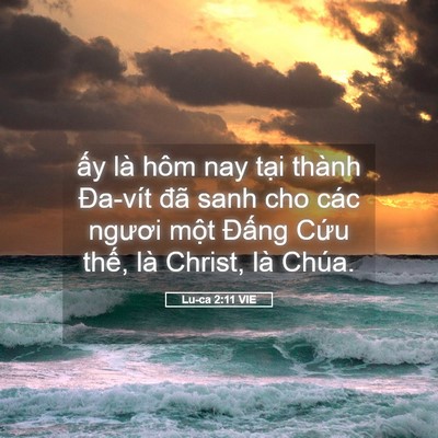 Picture 05 - Lu-ca 2:11 VIE - ấy là hôm nay tại thành Đa-vít đã sanh - Bible Verse Picture