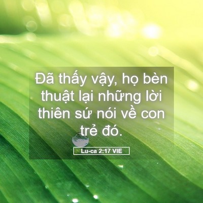 Picture 05 - Lu-ca 2:17 VIE - Đã thấy vậy, họ bèn thuật lại - Bible Verse Picture