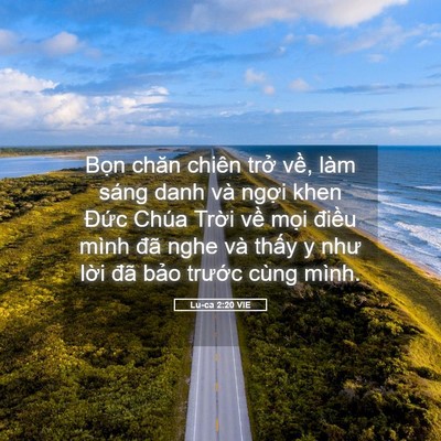 Picture 05 - Lu-ca 2:20 VIE - Bọn chăn chiên trở về, làm sáng danh - Bible Verse Picture