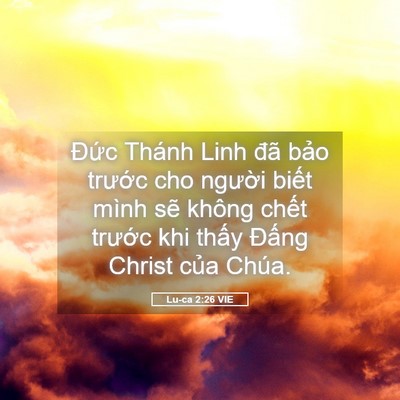 Picture 05 - Lu-ca 2:26 VIE - Đức Thánh Linh đã bảo trước cho - Bible Verse Picture