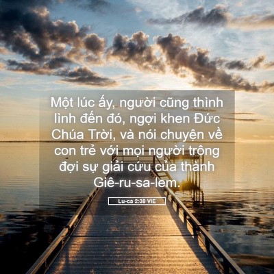 Picture 05 - Lu-ca 2:38 VIE - Một lúc ấy, người cũng thình lình - Bible Verse Picture
