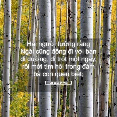 Picture 05 - Lu-ca 2:44 VIE - Hai người tưởng rằng Ngài cũng đồng - Bible Verse Picture