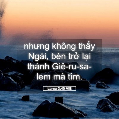 Picture 05 - Lu-ca 2:45 VIE - nhưng không thấy Ngài, bèn trở lại - Bible Verse Picture