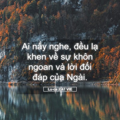 Picture 05 - Lu-ca 2:47 VIE - Ai nấy nghe, đều lạ khen về sự khôn - Bible Verse Picture