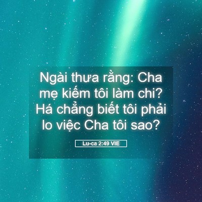 Picture 05 - Lu-ca 2:49 VIE - Ngài thưa rằng: Cha mẹ kiếm tôi làm - Bible Verse Picture