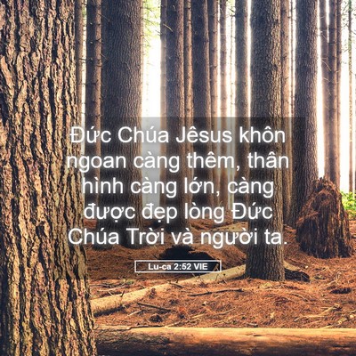 Picture 05 - Lu-ca 2:52 VIE - Đức Chúa Jêsus khôn ngoan càng thêm, - Bible Verse Picture