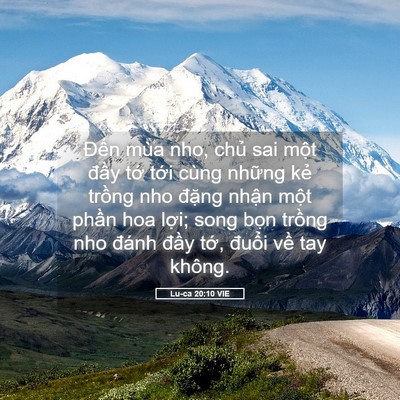 Picture 05 - Lu-ca 20:10 VIE - Đến mùa nho, chủ sai một đầy tớ - Bible Verse Picture