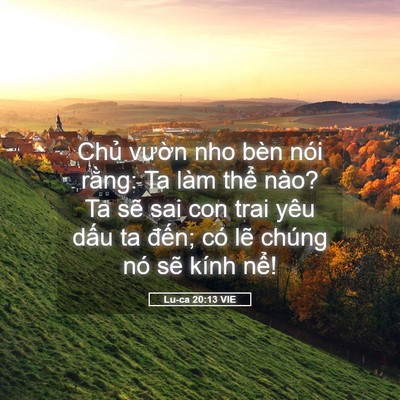 Picture 05 - Lu-ca 20:13 VIE - Chủ vườn nho bèn nói rằng: Ta làm thể - Bible Verse Picture