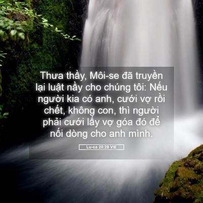 Picture 05 - Lu-ca 20:28 VIE - Thưa thầy, Môi-se đã truyền lại luật - Bible Verse Picture