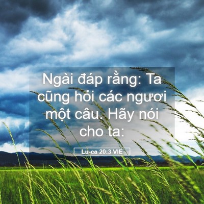 Picture 05 - Lu-ca 20:3 VIE - Ngài đáp rằng: Ta cũng hỏi các ngươi - Bible Verse Picture