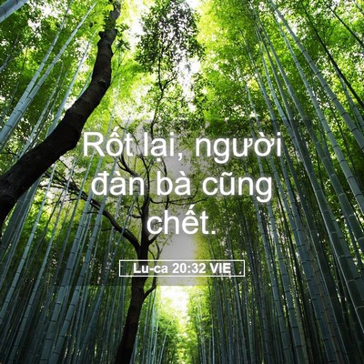 Picture 05 - Lu-ca 20:32 VIE - Rốt lại, người đàn bà cũng - Bible Verse Picture
