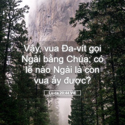 Picture 05 - Lu-ca 20:44 VIE - Vậy, vua Đa-vít gọi Ngài bằng Chúa; có - Bible Verse Picture