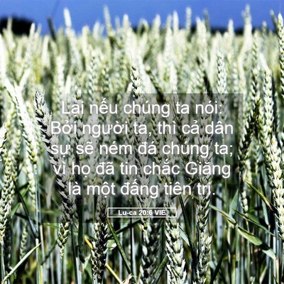 Picture 05 - Lu-ca 20:6 VIE - Lại nếu chúng ta nói: Bởi người ta, - Bible Verse Picture