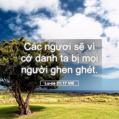 Picture 05 - Lu-ca 21:17 VIE - Các ngươi sẽ vì cớ danh ta bị mọi - Bible Verse Picture