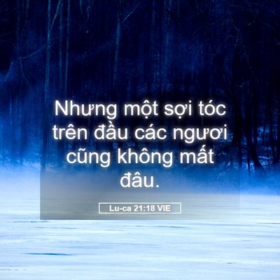 Picture 05 - Lu-ca 21:18 VIE - Nhưng một sợi tóc trên đầu các ngươi - Bible Verse Picture