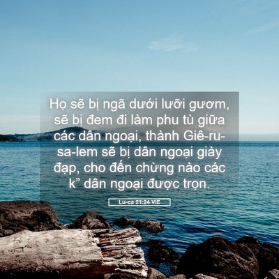 Picture 05 - Lu-ca 21:24 VIE - Họ sẽ bị ngã dưới lưỡi gươm, sẽ - Bible Verse Picture