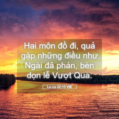 Picture 05 - Lu-ca 22:13 VIE - Hai môn đồ đi, quả gặp những điều - Bible Verse Picture