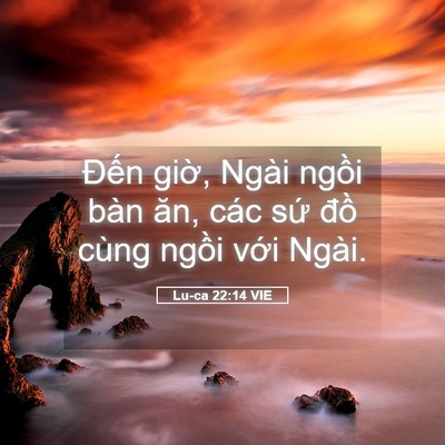 Picture 05 - Lu-ca 22:14 VIE - Đến giờ, Ngài ngồi bàn ăn, các sứ - Bible Verse Picture